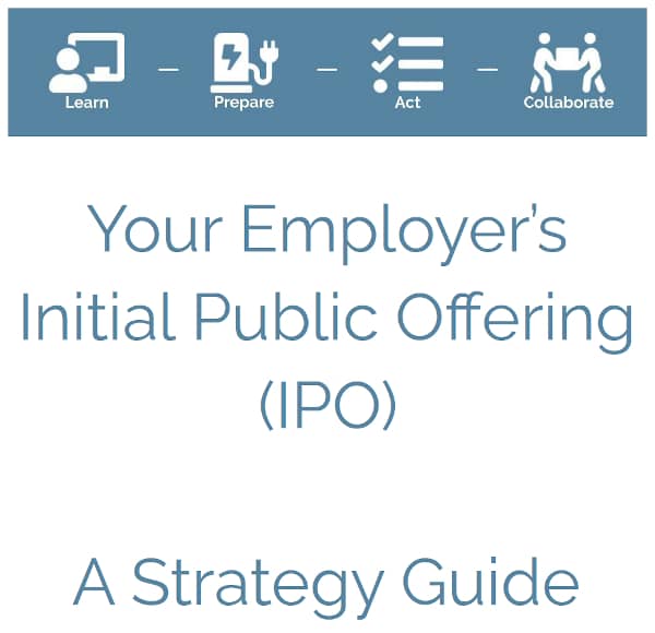 IPO Strategy Guide